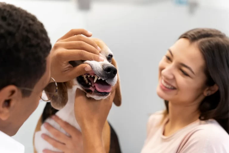 Precious Paws Mobile Grooming